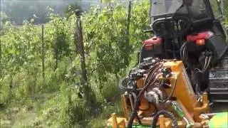 BioAgri diserbo meccanico su vigneto; cliente Castellinaldo (CN)