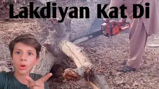 Lakdiyan Kat Di 🪵🪵🌳#viral#pind#pindwala#village#