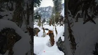Kalam Snowfall Right Now | #snow #swatvalley #mountains