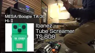 MESA/BOOGIE　TA-30　GAIN　PEDALS