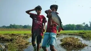 Amazon fishing challenge  ✅ new long video ✅ hand fishing challenge ✅