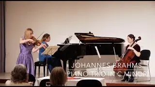 Johannes Brahms - Piano Trio in C minor op 101
