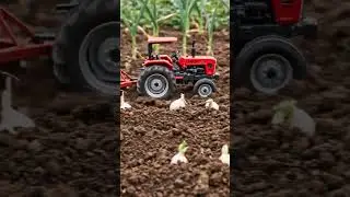 Garlic Cultivation | Easy Steps for High Yield 🧄 | Garlic Farming #garliccultivation #freshgarlic