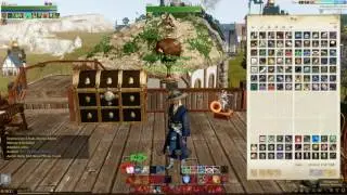Archeage NA/EU MMORPG Promotion Free Pure Sky Dynasty Robe