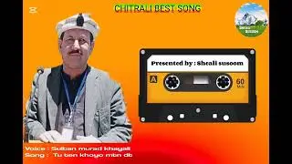 Chitrali best song by Sultan murad khayali _Tu Ten Khoyo Mtn Dt#chitrali#khowarsong#chitralinewsong