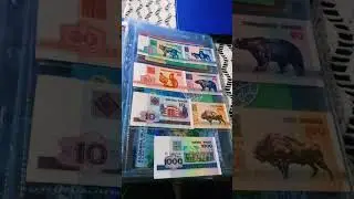 My Collection #banknotes #currency #money #moneda #billetes #банкноты #Деньги #货币 #shorts #short