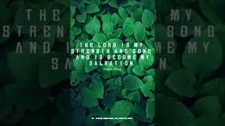 YESHU NAAM YESHU NAAM (change tum ko dil se)/ Christian music status/hea_ven_christian_music