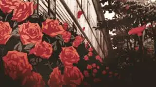 beach house - master of none (slowed + reverb)