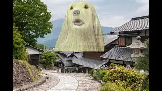 Creepypasta el perro de consome panchi
