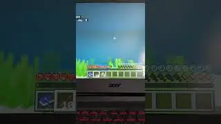 Survie avec mon Poto