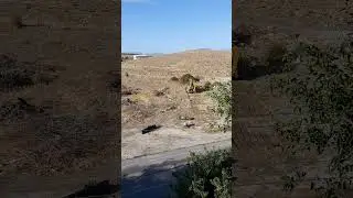 Chemical was found from the demolition site with a bulldozer