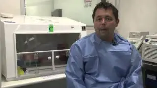 Módulo 2 | Biologia do Aedes aegypti