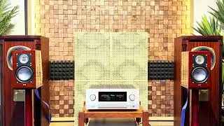 M&ecirc; mẫn chất &acirc;m của Si&ecirc;u loa T&iacute; hon ELAC Bs243 Limited Edition  đến từ đất nước Germany