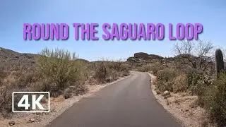 Desert Drive | Cactus Forest Drive Loop in 4K