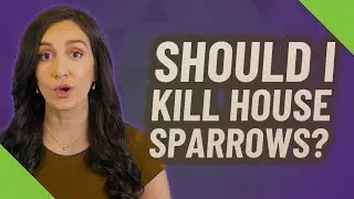 Should I kill house sparrows?
