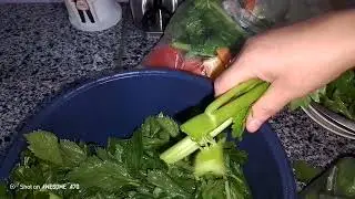 مرحبا بكم تحضيرات رمضان