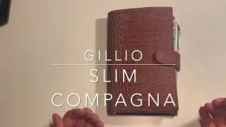 Gillio Slim Compagna Croco Rosewood 2