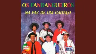 BAILE NO RANCHO BARREADO
