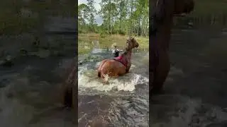 MY HORSE ROLLED ME RIGHT INTO THE LAKE! 😂