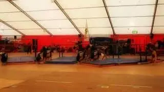 TV Buttikon-Schübelbach, Schulstufenbarren