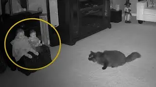 Ghost leaving haunted doll' and chasing pet cat