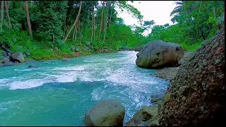 Peaceful River Sounds for Deep Relaxation  Calming Water Ambience.