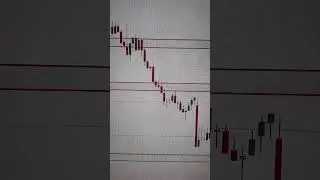 Live Trading with Hedging Strategy 🔥 Student Day 6 | Real Market Trading #telugutraderaryan