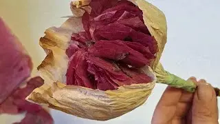 Flor de papel crepón / Cómo hacer una flor rústica única con hojas de bugambilla
