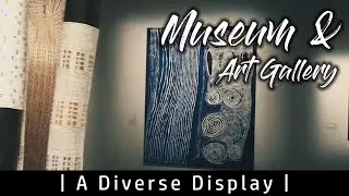 Things to Do in Darwin, Australia - #walkwithus to Museum & Art Gallery |  4K Cinematic Travel Vlog|