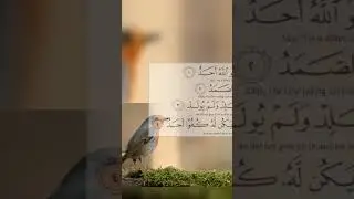 #islam #messageofislam