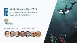 World Oceans Day 2021: A Conversation with the UNDP 2020 Ocean Innovators