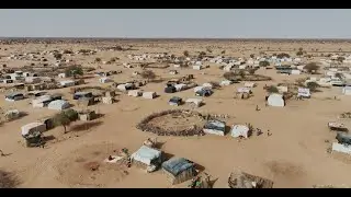 Solidarit&eacute;s International - 2024 .ORG Impact Awards Winner - Fighting Hunger and Poverty