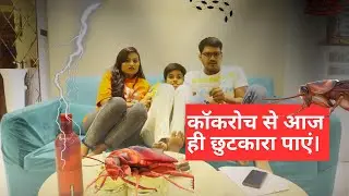 कॉकरोच से आज ही छुटकारा पाएं। Coackroach Control Services | Pepcopp Pest Control Services
