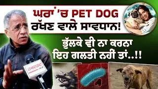 ਘਰਾਂ ’ਚ Pet Dog ਰੱਖਣ ਵਾਲੇ ਸਾਵਧਾਨ! ਭੁੱਲਕੇ ਵੀ ਨਾ ਕਰਨਾ ਇਹ ਗਲਤੀ ਨਹੀਂ ਤਾਂ……