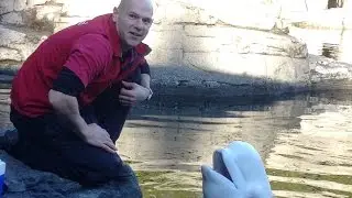 Arctic Talk Show - Troy Neale, Marine Mammal Assistant Manager  (Northern Spotlights)