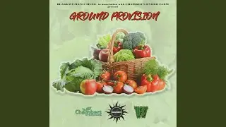 Ground Provision