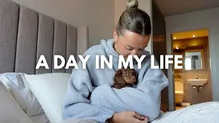 VLOG: life with my mini dachshund puppy, new apartment, home shopping