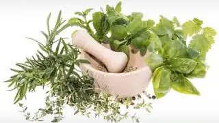 Ladino word- &ldquo;yervas kurantes&rdquo; 🌱