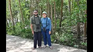 Para Birding Tour - incredible birding experience in Brazilian Amazon!