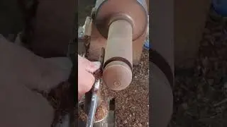 palm tree turning