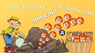 HOW TO STAKE SHIBA INU ON CRYPTO.COM