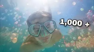 I filled my pool with 1,000+ Water Balloons (CRAZY)