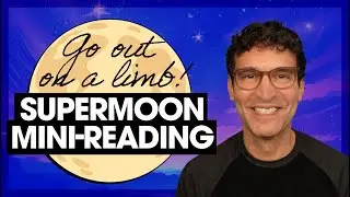 Go Out on a Limb! &bull; Full Moon Tarot Reading &bull; December 4, 2025