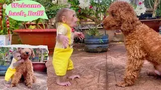Finally Home &mdash; The Emotional Moment Lulu Welcomes Bull Back After Surgery