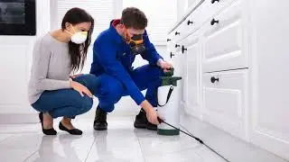 Phoenix Pest Control: Protecting Your Home from Desert Invaders