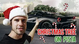 Zuumy | Christmas Tree on a Ferrari in Miami