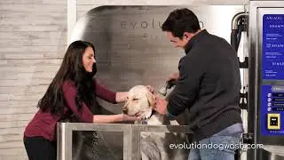 Krista Bradley | Evolution Dog Wash: Discover the Difference