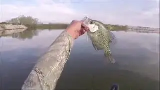 Texas Spring Time Crappie