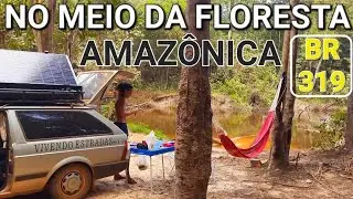 BR 319 | Wild Camping na FLORESTA AMAZÔNICA