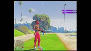 Preview Of The Cheat (Custom DLL)
